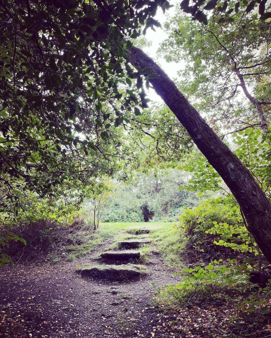 Walking the paths our ancestors laid for&nbsp;us